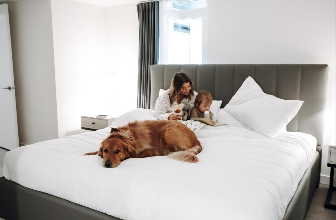 Hotel Level Downtown La South Olive Los Angeles Esterno foto